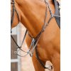 Valrona Preformance Breastplate RGBx900