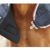 AW20 Horse Walker Rug 0g Navy Chest Lining 72 RGB zoom