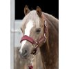 SS19 Pony Padded Fleece Head Collar Burgundy Main Image RGB 72 zoom