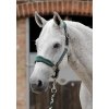 SS19 Padded Fleece Head Collar Green Main Image RGB 72 zoom