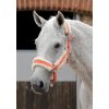 SS19 Techno Wool Lined Head Collar Orange Main Image RGB 72 zoom