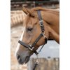 SS19 Plain Padded Head Collar Black Side Shot RGB 72 zoom