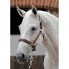SS19 Plain Padded Head Collar Brown Main Image RGB 72 zoom