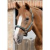 SS19 Plain Padded Head Collar Green Main Image RGB 72 zoom