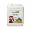 313 8b2618fa stiefel top shine aloe vera 2,5l kanister