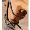 Podhrdelník Premier Equine