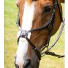 Mexický nánosník Premier Equine Glorioso