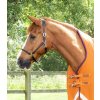 Výběhová deka Premier Equine Buster Hardy 200g se zvýšeným krkem