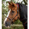 Titan 450 Turnout Rug Black 2 2048x