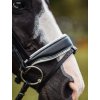 horse4u 42