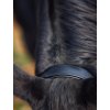 horse4u 44