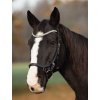 horse4u 47