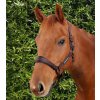 corda head collar with lead rope brown 2
