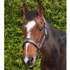 corda head collar with lead rope grey 2