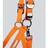 duco head collar with lead rope orange 3