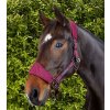 necto head collar with lead rope burgundy 2