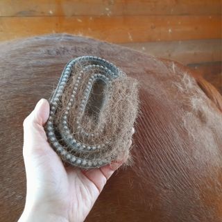 Doba línání je tady. Snad už nám naši čtyřnozí kamarádi konečně zvěstují příchod jara!🌸 Začíná období "mám všude chlupy a...