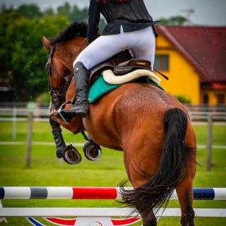 Článek o výhodách a nevýhodách kování naleznete na blogu Horse4u. Jak se vám líbí? A jste tým podkovy🍀 nebo tým...
