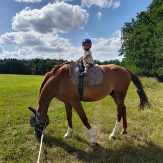 V srpnu pro vás chystáme pokračování zábavné rubriky "Koně a mateřství" 🐎+👶. ❓️Zajímá vás, jak návštěva stáje vypadá s...