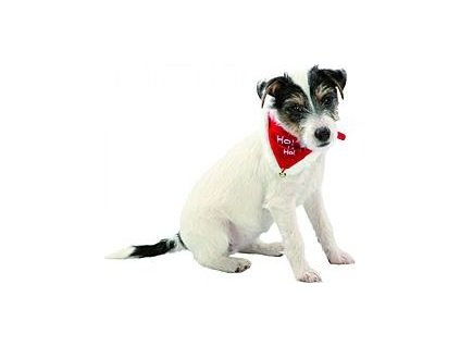 Šátek pro psa Trixie, 37-47cm/20 mm/M, red/white
