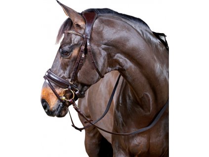 Uzdečka anatomická Ergo HorseGuard, hnědá