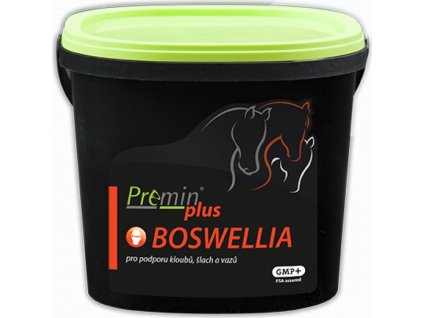 Premin® plus BOSWELLIA - akutní obtíže pohybového aparátu, 1 kg