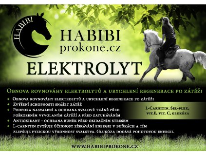 Elektrolyt + L-carnitin HABIBI, 1,2 kg