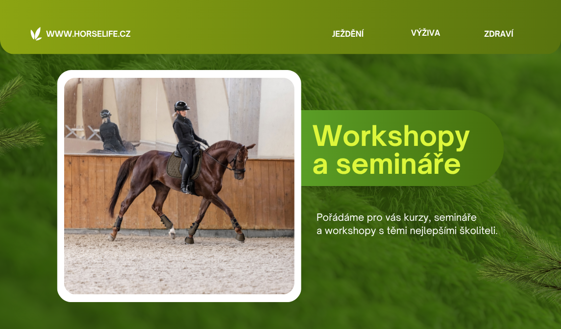 workshopy nový