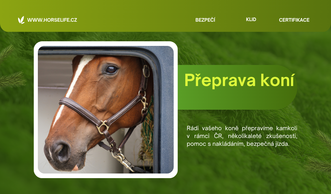 přeprava