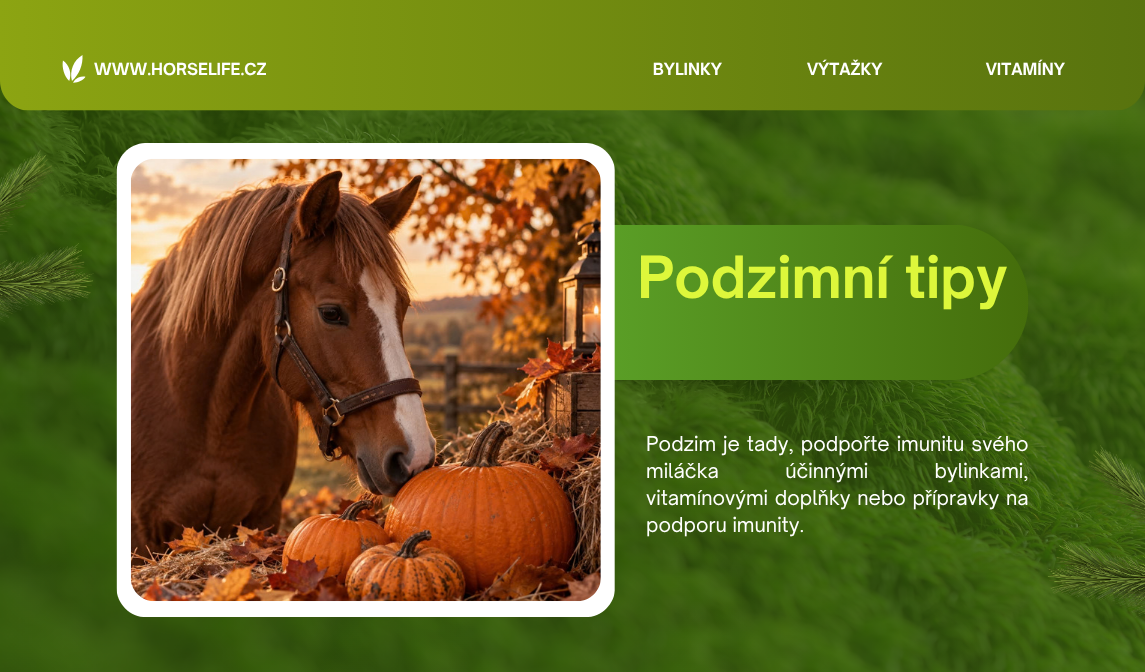 podzim