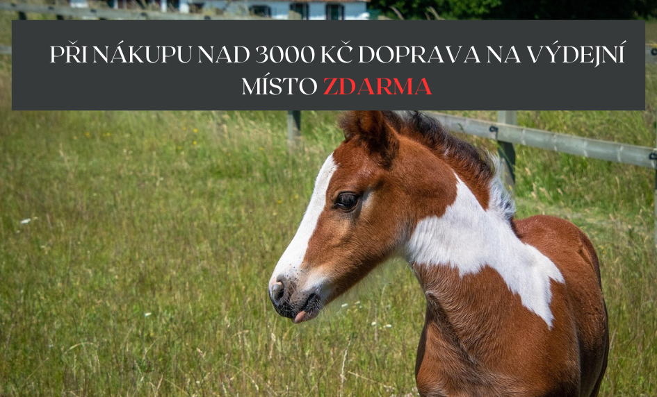Doprava zdarma