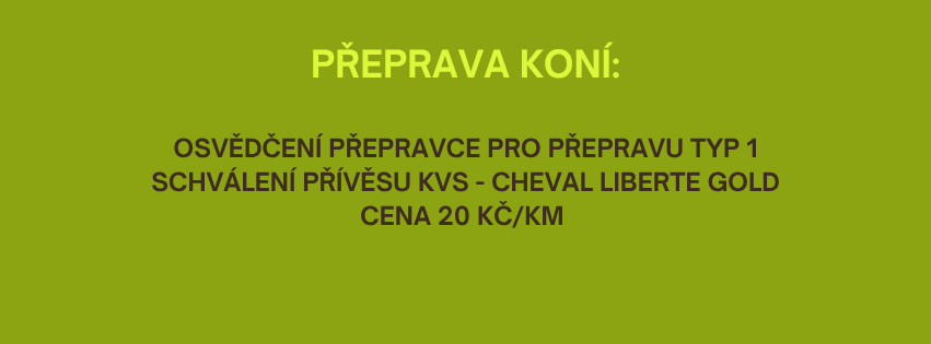 přeprava
