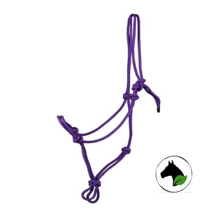 95b24f8f 688a 4294 80aa 45dc22ee447f m jpg s287427 1