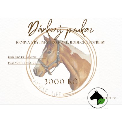 Beige Minimal Paper Texture Modern Business Gift Voucher Card Gift Certificate