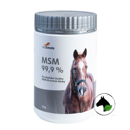 VitaEmote MSM 99,9% 1 kg