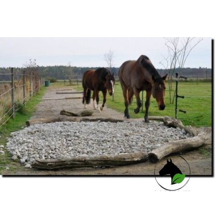 d257b7f7abda48e4a3086b8b63773668