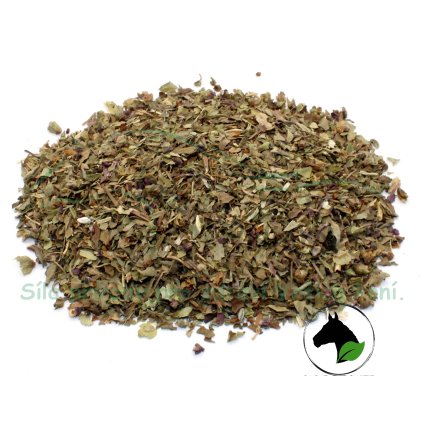 vyr 1778 bazalka2026