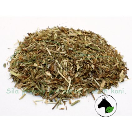 vyr 1780 jestrabina1