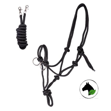 5041801 PON 05 800x800