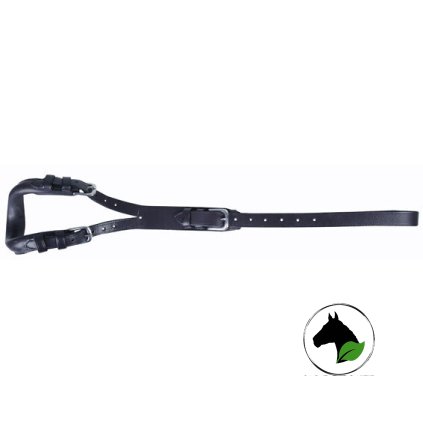 Podocasník Shetty/pony