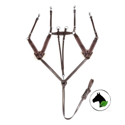 Anglický poprsák s martingalem