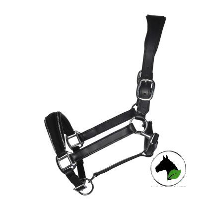 Kožená ohlávka Glamour