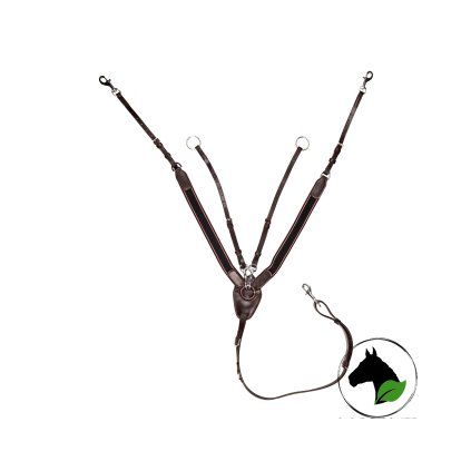 Poprsník s martingalem