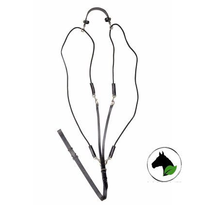 Pomocné otěže gogue