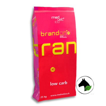 brandon xl 00567