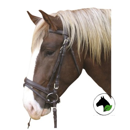 Uzdečka pro chladnokrevníky Covalliero