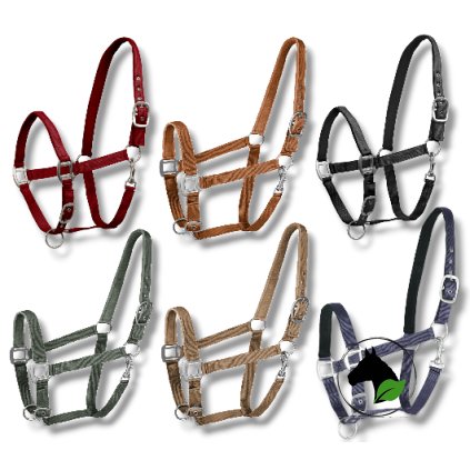 Photoroom 20240911 094350~2