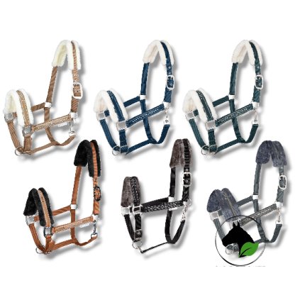 Photoroom 20240911 091508