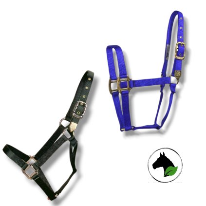 Photoroom 20240911 091851