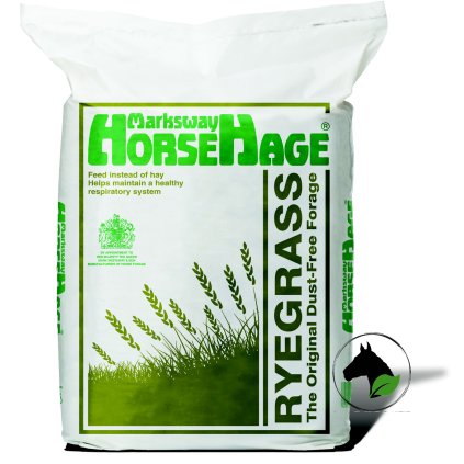 horsehageryegrass